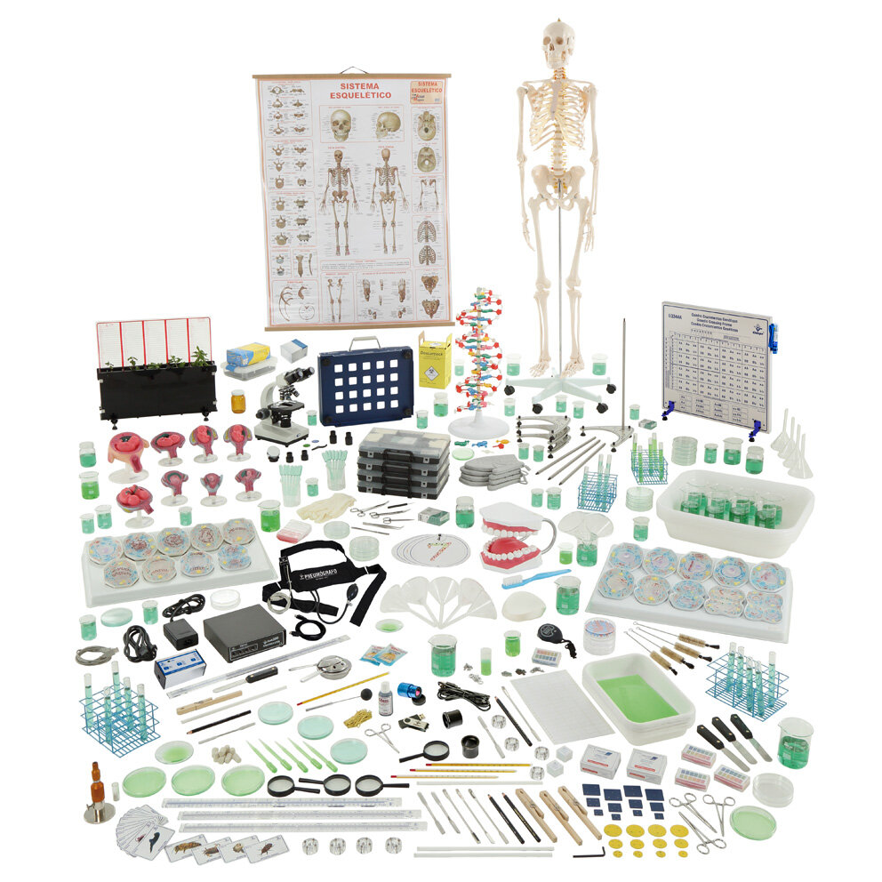 Conjunto biologia, para 4 grupos
