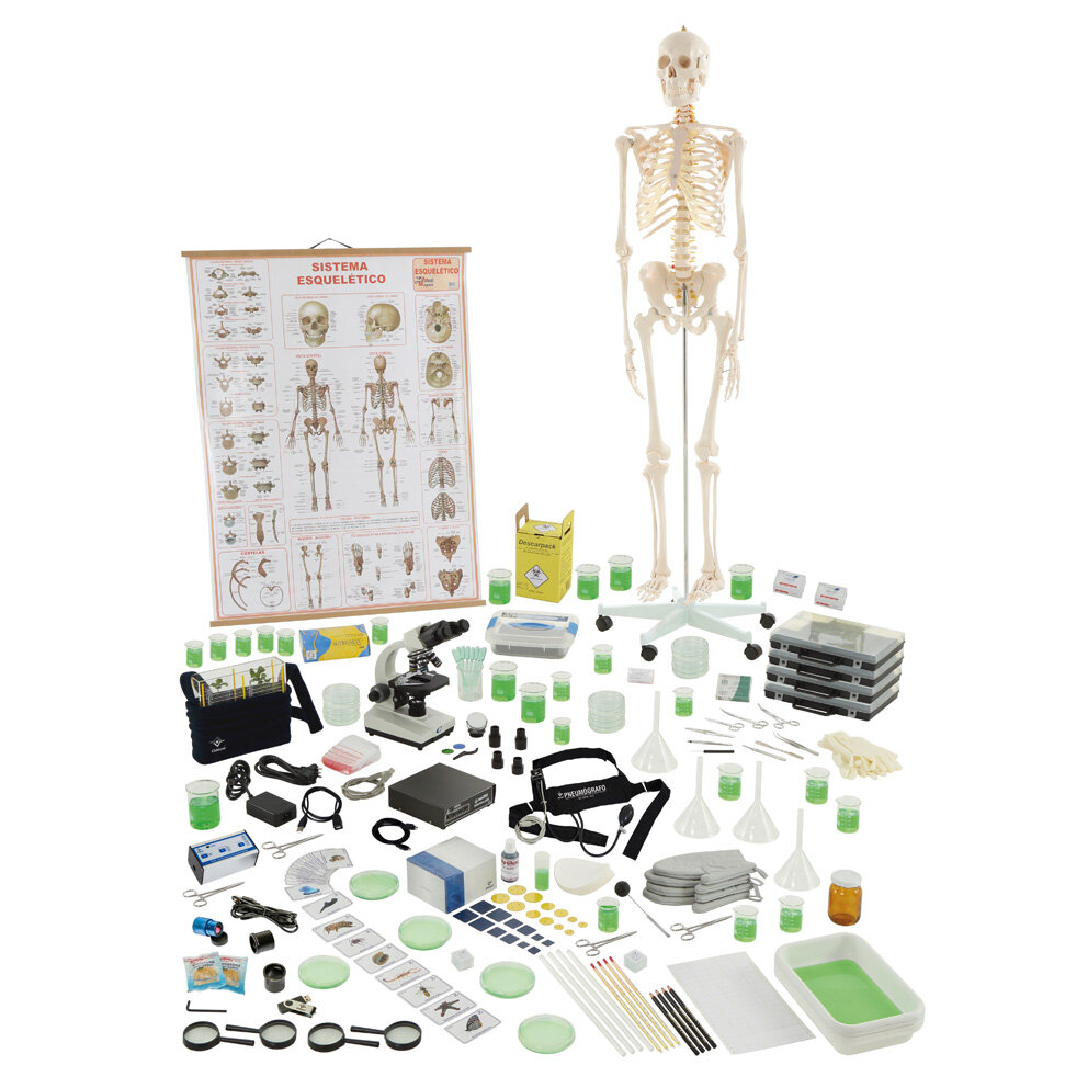 Conjunto biologia para 4 grupos